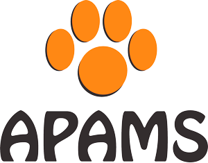 O amor cura - APAMS - Associação Protetora dos Animais do Município de Sinop