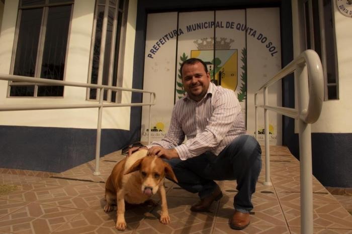 Adotar cães dá até 50% de desconto no IPTU em cidade do Paraná